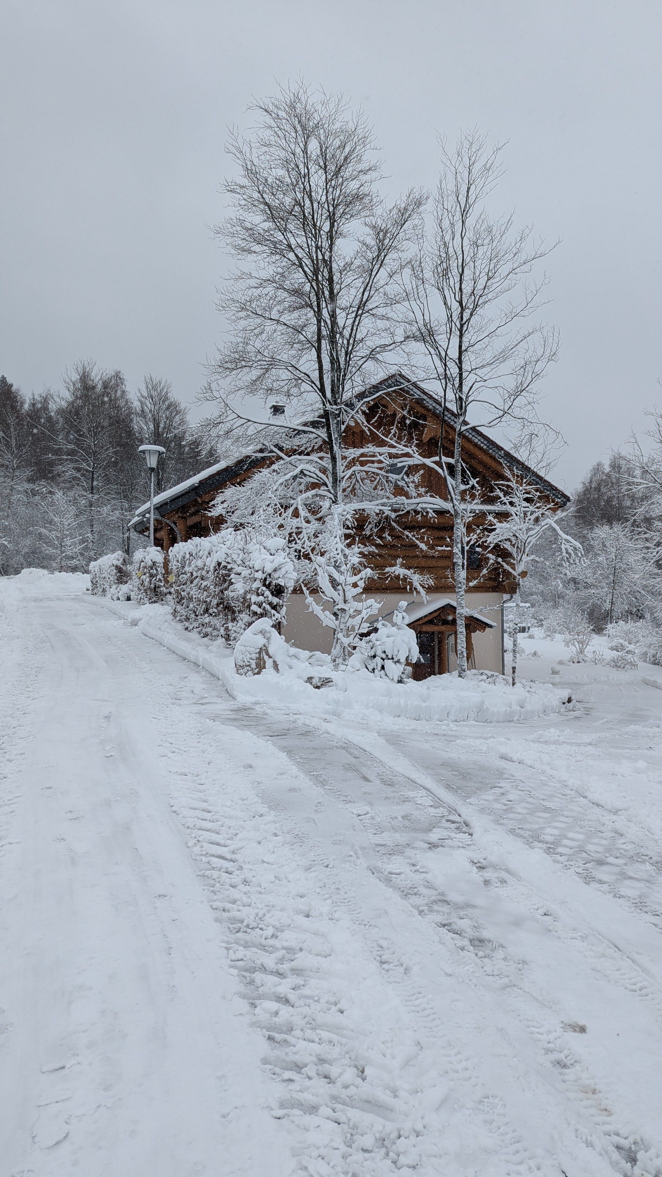 Das Waldzeit-Blockhaus im tiefsten Winter, umgeben von schneebedeckten Bäumen und einer verschneiten Auffahrt.